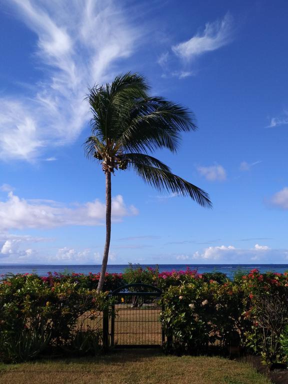 Savannah Guadeloupe Saint-Francois  Exterior foto